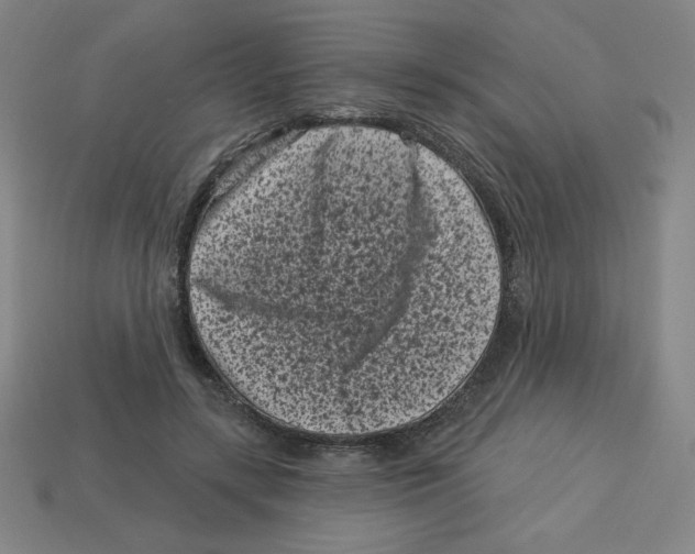 X0000113160547200910021503