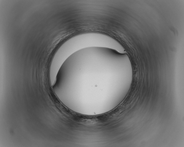 X0000113160548200910021503