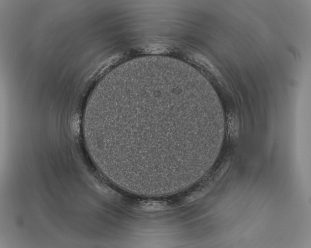 X0000113160549200910021503