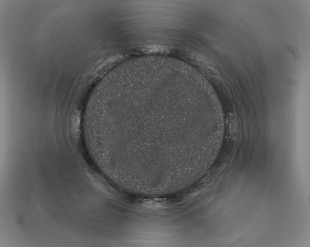 X0000113160550200910021503