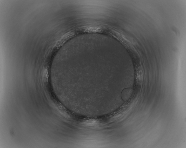 X0000113160551200910021503