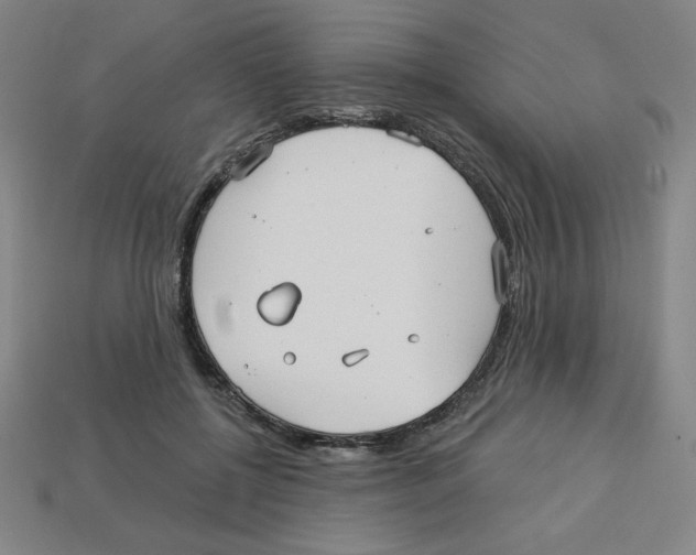 X0000113160552200910021503