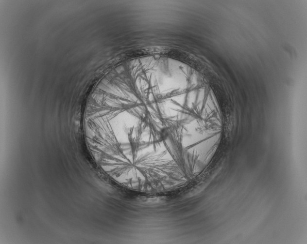 X0000113160553200910021503