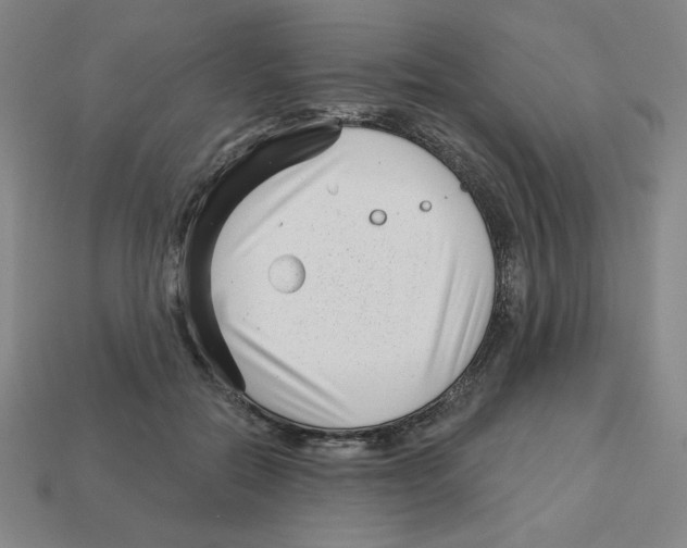 X0000113160554200910021503