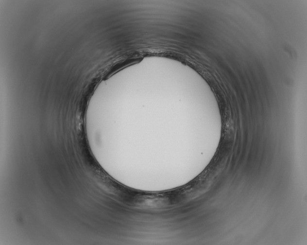 X0000113160555200910021503