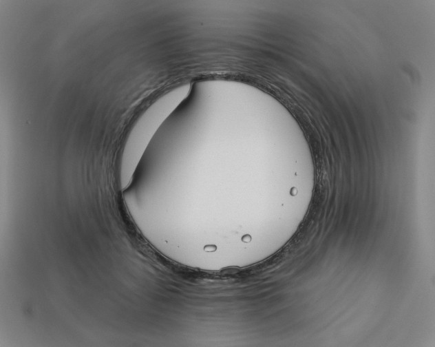 X0000113160556200910021503