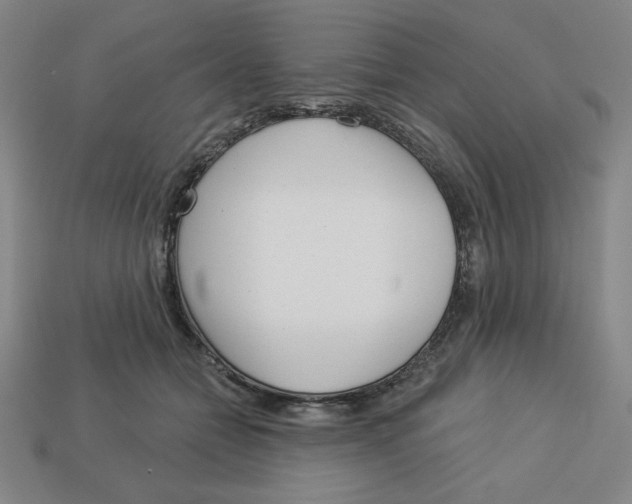 X0000113160558200910021503