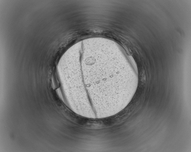 X0000113160559200910021503