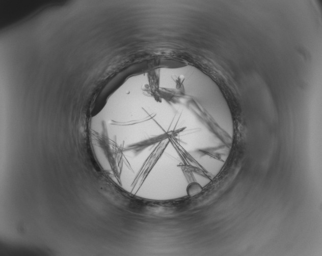 X0000113160561200910021503