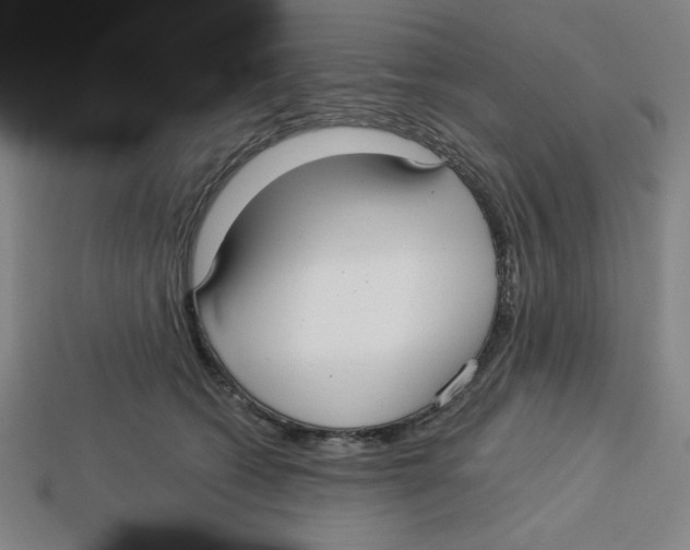 X0000113160562200910021503