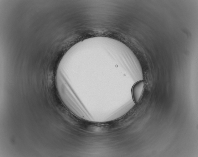 X0000113160563200910021503