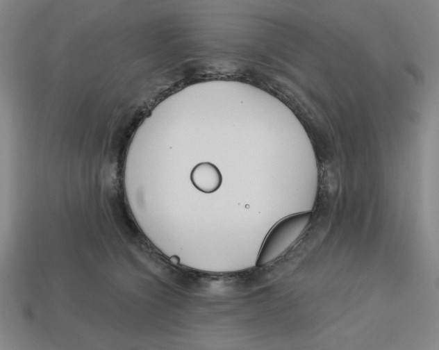 X0000113160564200910021503