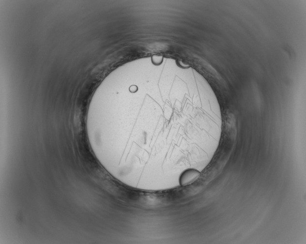 X0000113160565200910021503