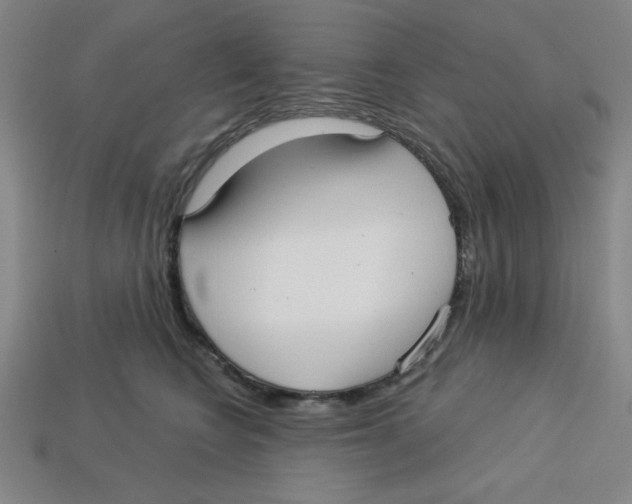 X0000113160566200910021503