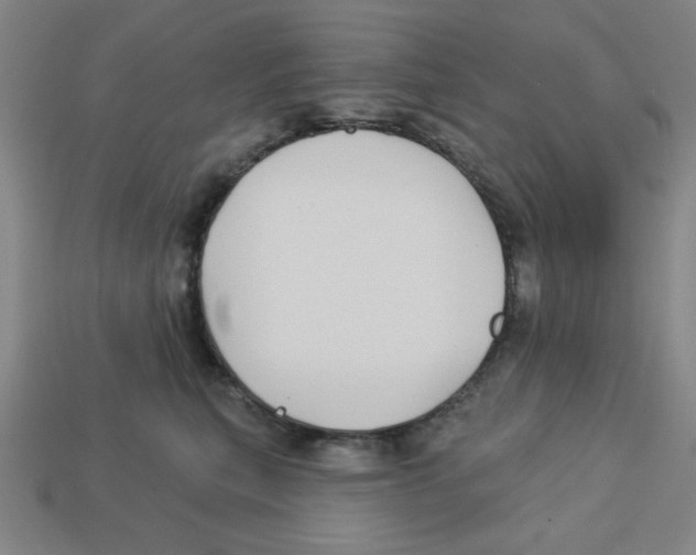 X0000113160567200910021503