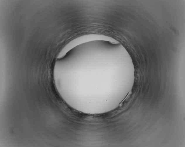 X0000113160568200910021503