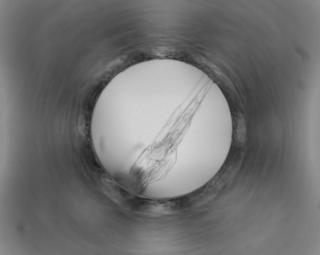 X0000113160569200910021503