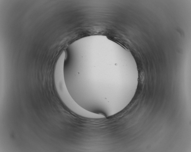 X0000113160570200910021503