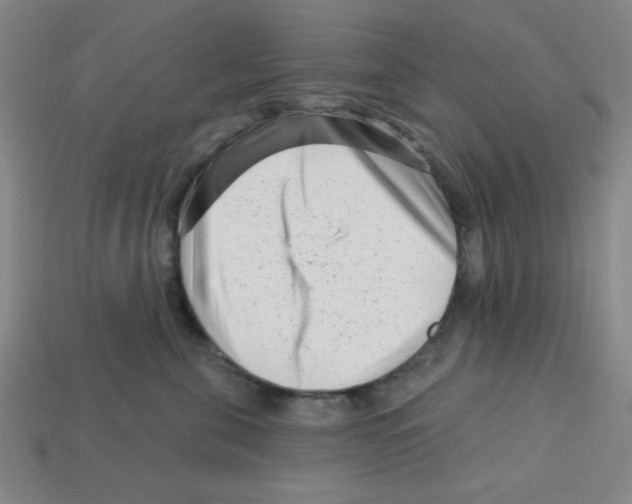 X0000113160571200910021503