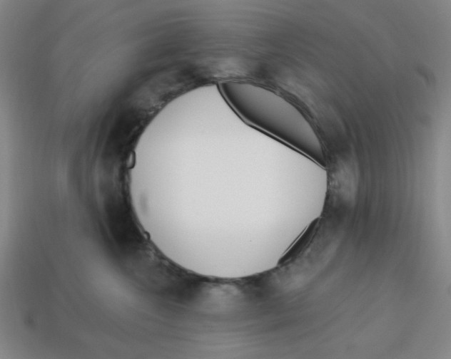 X0000113160572200910021503