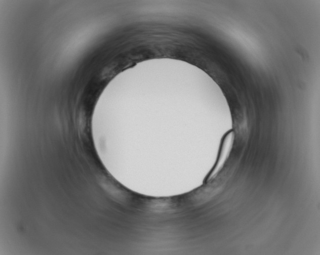 X0000113160574200910021503