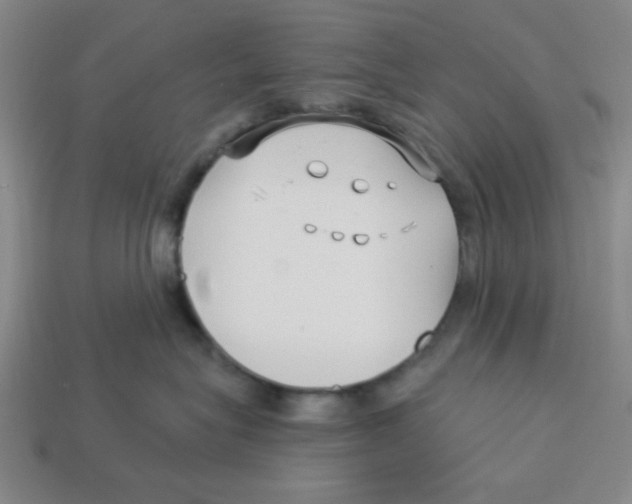 X0000113160575200910021503