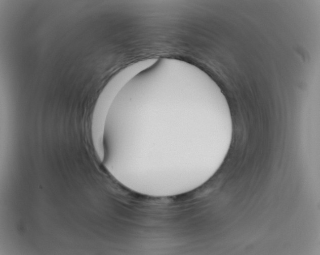 X0000113160576200910021503