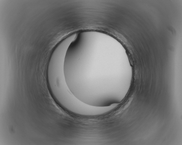 X0000113160577200910021503