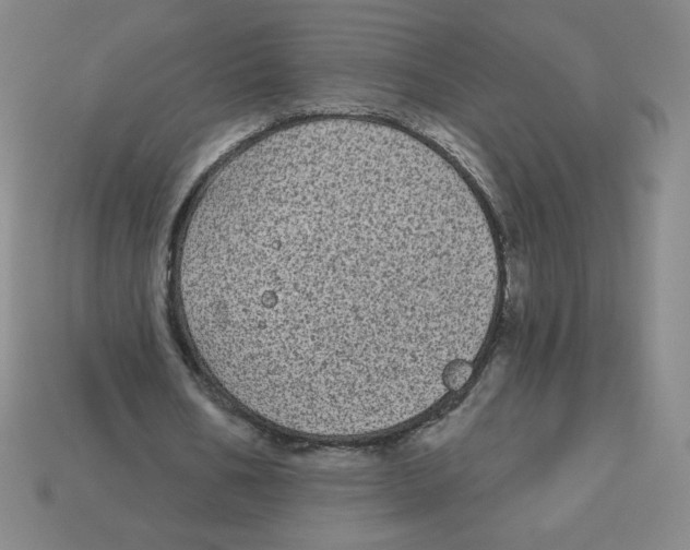 X0000113160578200910021503