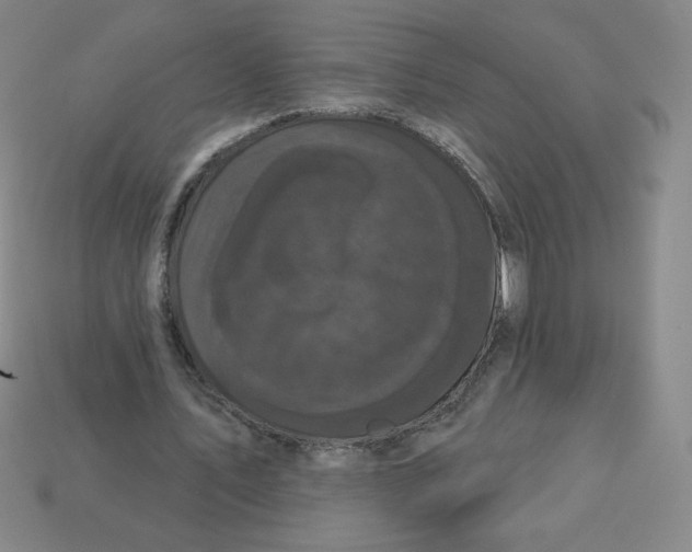 X0000113160579200910021503