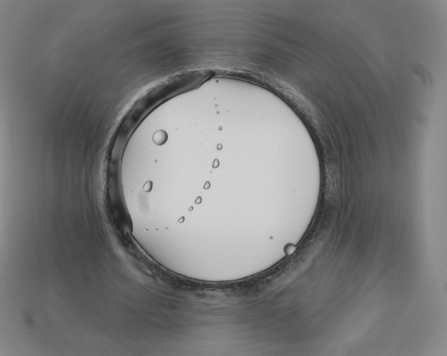 X0000113160580200910021503