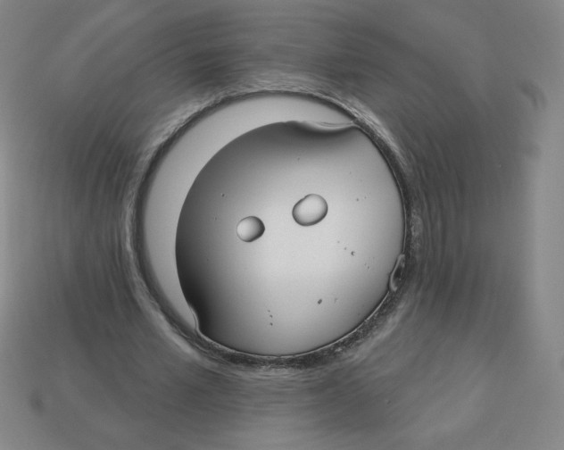 X0000113160581200910021503