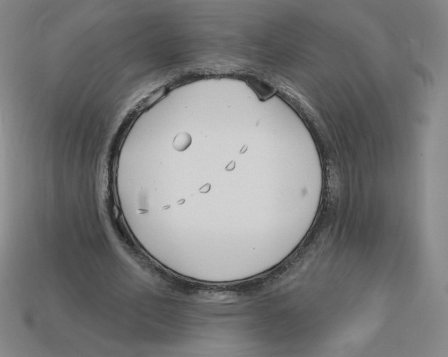 X0000113160582200910021503