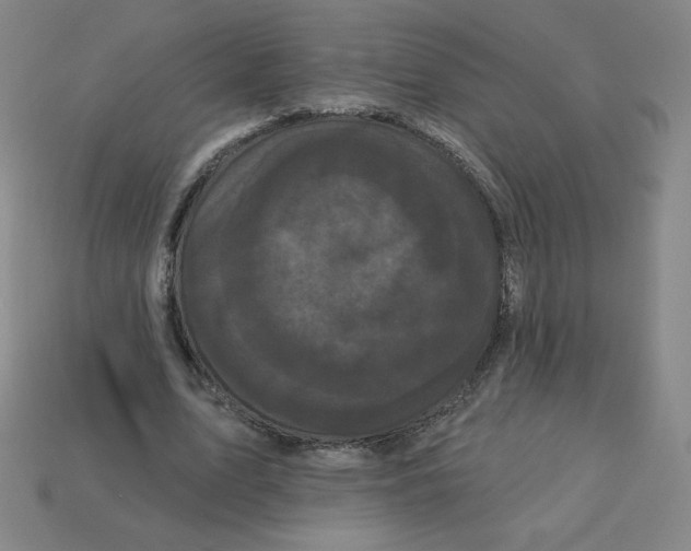 X0000113160583200910021503