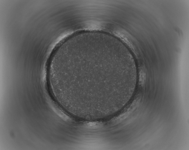 X0000113160584200910021503