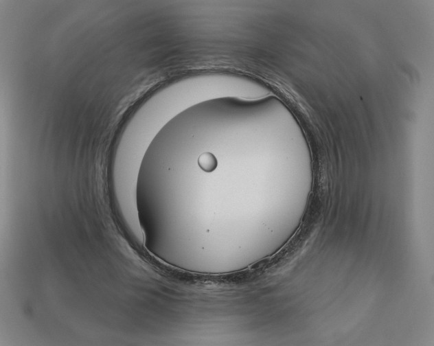 X0000113160585200910021503