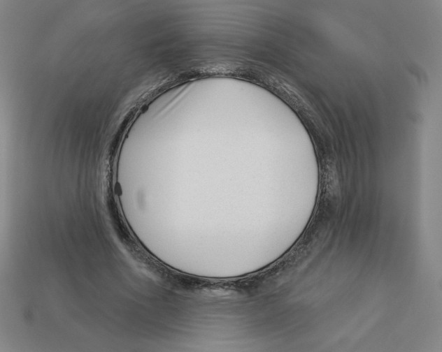 X0000113160586200910021503