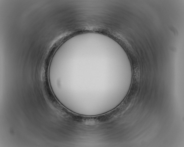 X0000113160587200910021503