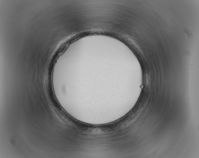 X0000113160588200910021503