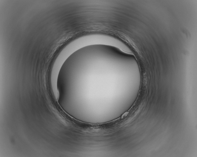 X0000113160589200910021503