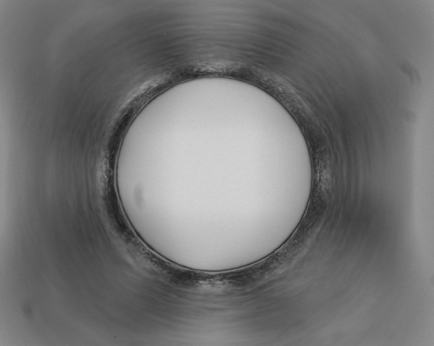 X0000113160591200910021503