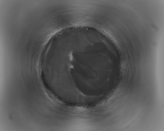 X0000113160592200910021503