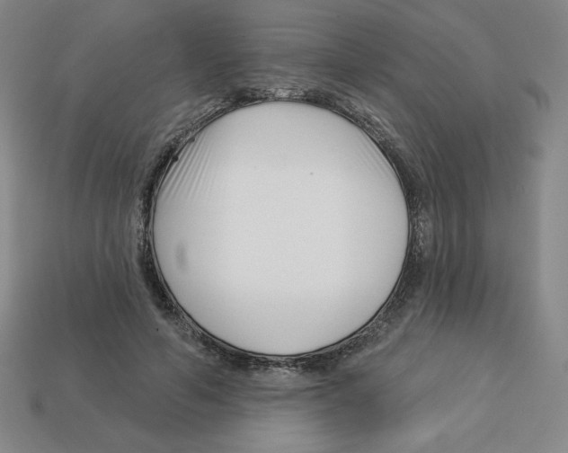 X0000113160594200910021503