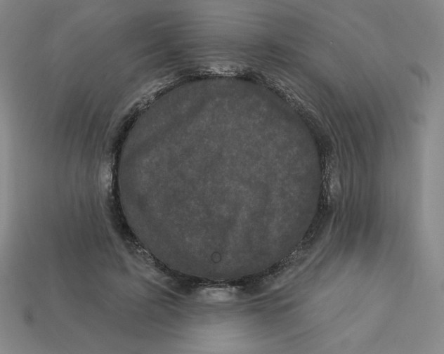 X0000113160595200910021503