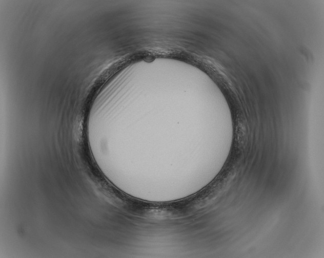 X0000113160596200910021503