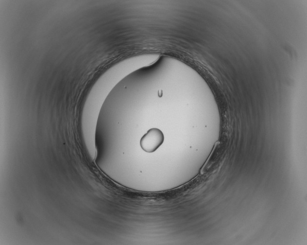 X0000113160597200910021503