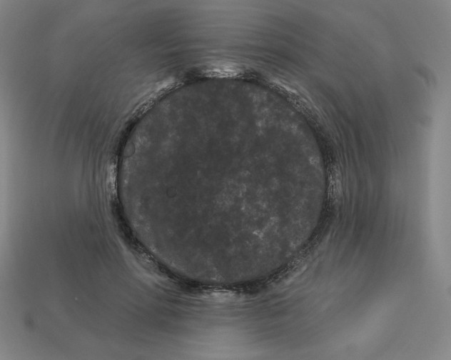 X0000113160598200910021503