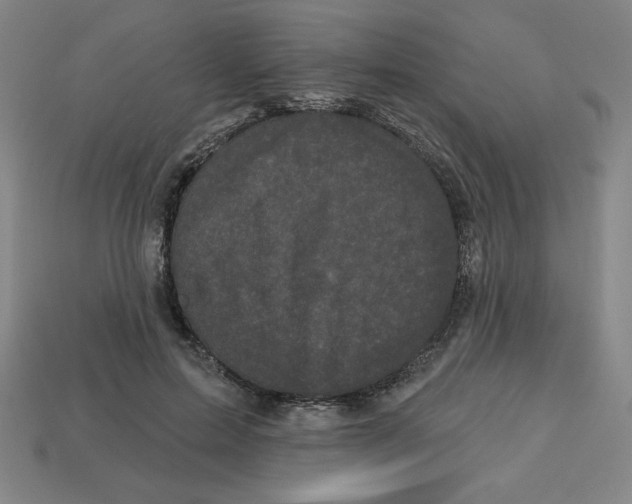 X0000113160599200910021503