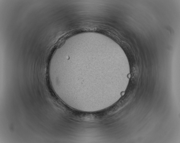 X0000113160600200910021503