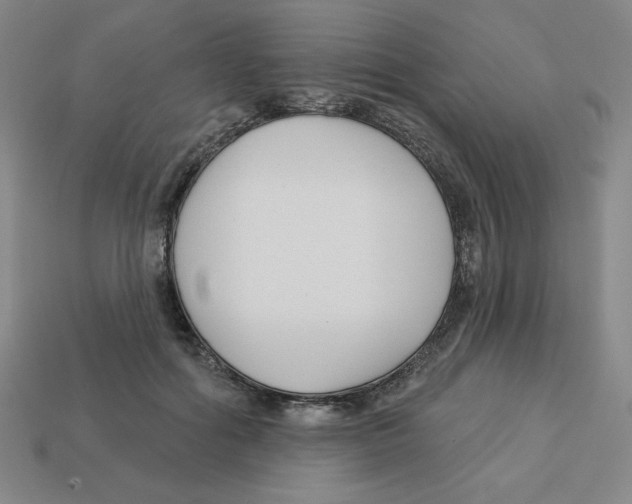 X0000113160602200910021503